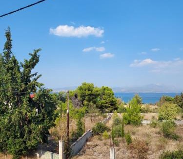 Chalcis House | Dimitri's house