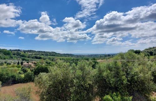 Civitanova Alta Apartment | Dimora Fonte San Pietro
