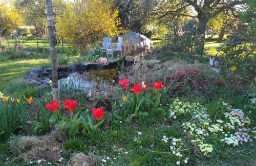 Awagne House | DINANT La Bergeronnette avec la chaleur du feu de bois et le jardin