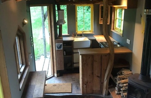 Liverton Cabin | Dingle Glenn secluded woodland Shepherds Hut
