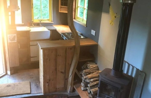 Liverton Cabin | Dingle Glenn secluded woodland Shepherds Hut