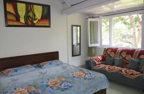 Dalhousie House | Dingle House , A Heritage House