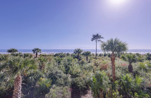 North Forest Beach Condo | Direct Oceanfront Updated Luxury VIP condo Queen Sleeper Sofa New baths New Appliances New Furniture