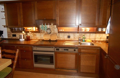 Todtnau Apartment | Directly on the ski lift, fireplace, open kitchen, south-facing terrace with views, like with dog