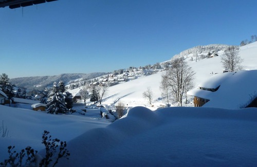 Todtnau Apartment | Directly on the ski lift, fireplace, open kitchen, south-facing terrace with views, like with dog