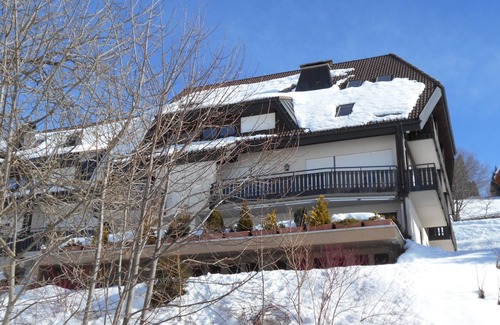 Todtnau Apartment | Directly on the ski lift, fireplace, open kitchen, south-facing terrace with views, like with dog