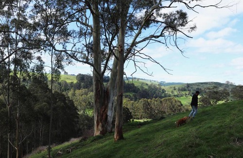 Hallston House | Disconnect in a Private Nature Cabin - Luen