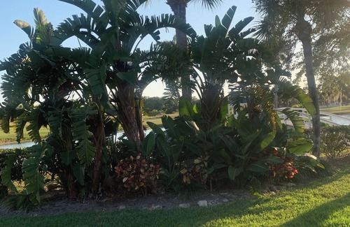Palmetto Condo | Discounted Rate! Terra Ceia Bay Golf & Tennis Club and a modest drive to Beaches