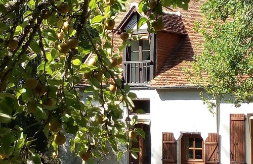 Fougeres-sur-Bievre House | Discover the 6 good reasons to choose this Gîte, Châteaux Loire, 8 pers 3 *