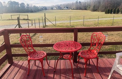 Raleigh House | Discover NCSU in just 14 mins! Dog-friendly 2-bedroom Raleigh retreat