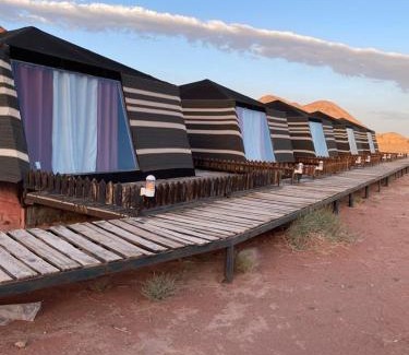 Wadi Rum Other | Discover the life of Wadi Rum