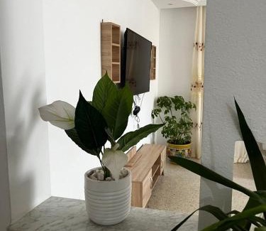 Houmt Souk House | Djerba Dar BAYA
