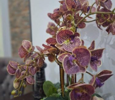 Kuala Terengganu House | DN Homestay Kuala Terengganu - Feel At Home
