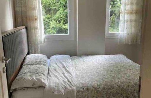 Ayder Apartment | Doğal hayat için bizi seçin