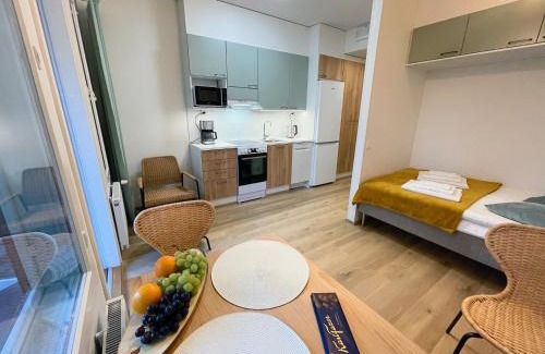 Ylamylly Apartment | Docent's Flat