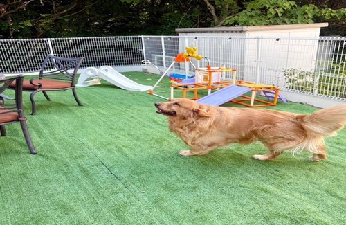 Imazu Cottage | dog base angel/Takashima Shiga
