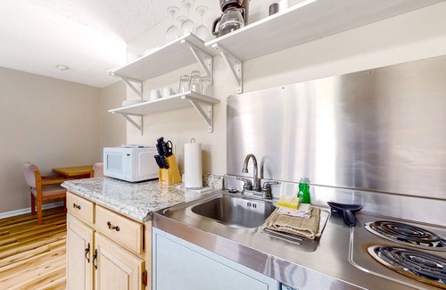 Baneberry Apartment | Dog-friendly, 1st-floor studio with picnic area, patio, fitness room & game room