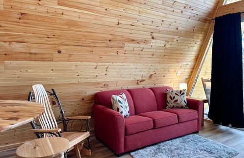 Newport Cabin | Dog-friendly cabin with mountain views, loft, & kitchen - near Douglas Lake