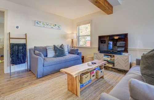 Lake Lure House | Dog Friendly Cottage on Lake Lure! Pontoon boat!