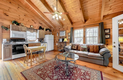 Sautee Nacoochee Cabin | Dog-friendly log cabin w/hot tub, screened-in deck & heart-shaped jetted tub