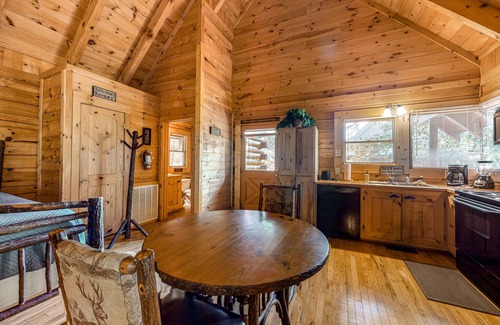 Gatlinburg - Pigeon Forge Apartment | Dog-friendly mountain studio cabin w/private hot tub & free attraction tickets