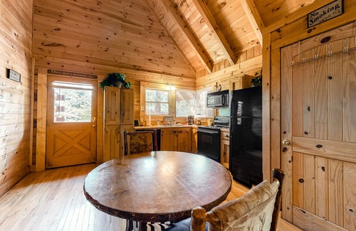 Gatlinburg - Pigeon Forge Apartment | Dog-friendly mountain studio cabin w/private hot tub & free attraction tickets