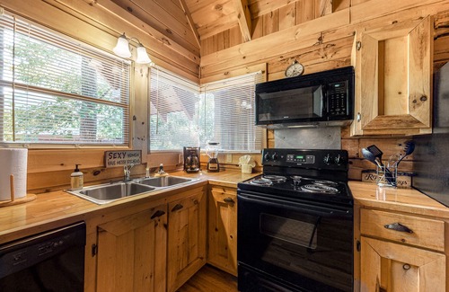 Gatlinburg - Pigeon Forge Apartment | Dog-friendly mountain studio cabin w/private hot tub & free attraction tickets