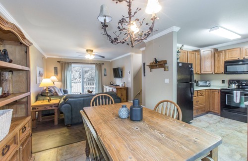Ouray House | Dog Friendly-Overlooking River-Next to Ouray Hot Springs-Fiber Optic WiFi