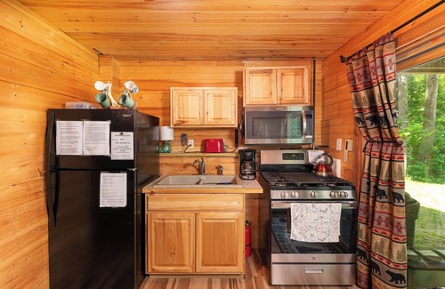 Conway Cabin | Dog Friendly, Quiet Neighborhood, Cozy lower level cabin