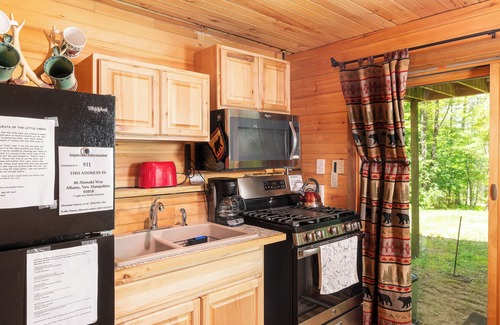 Conway Cabin | Dog Friendly, Quiet Neighborhood, Cozy lower level cabin