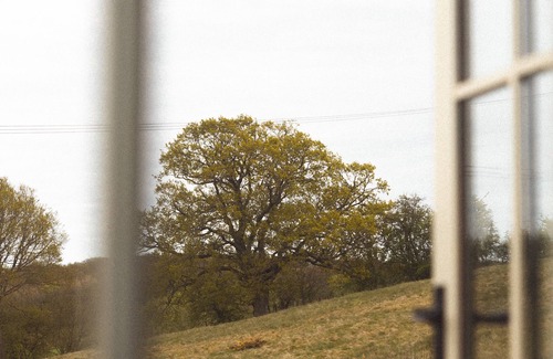 Bilsington Cabin | Dog Friendly Shepherd's Hut, Perfect for Couples