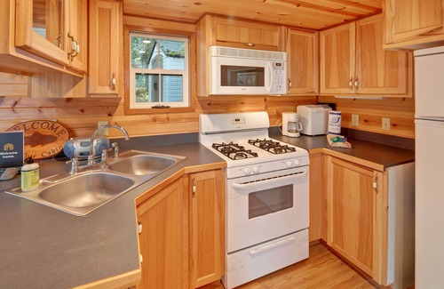 Olga Cabin | Dog-friendly wood cabin with full kitchen & free WiFi near the water