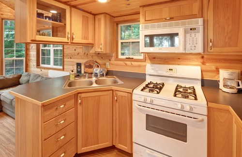 Olga Cabin | Dog-friendly wood cabin with full kitchen & free WiFi near the water