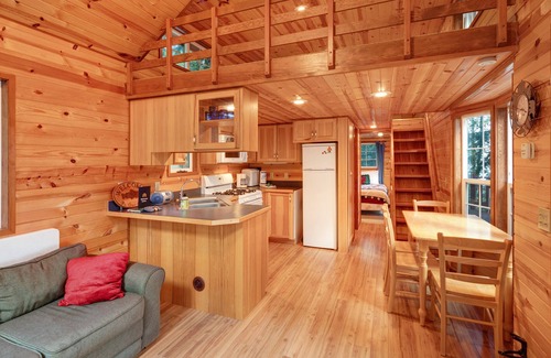 Olga Cabin | Dog-friendly wood cabin with full kitchen & free WiFi near the water