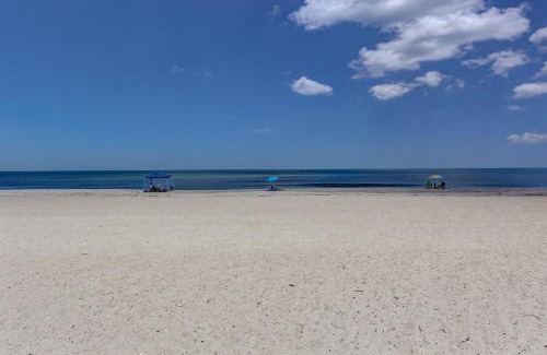 Ocean Cay Apartment | DogFriendly Oceanfront Condo