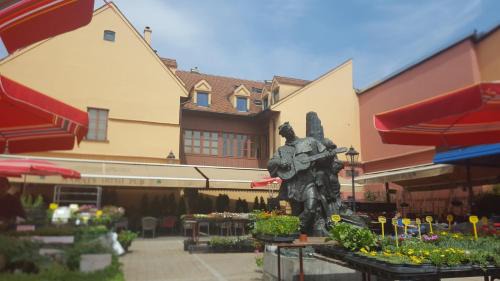 Donji Grad Apartment | Dolac Guesthouse