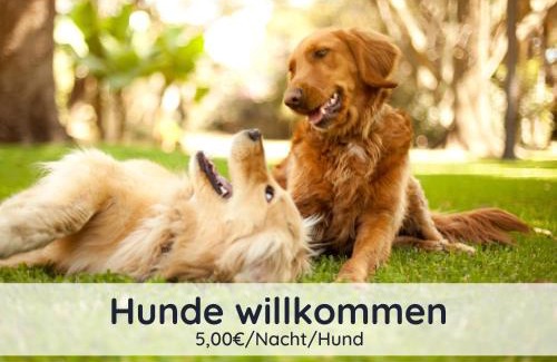 Walkenried House | DolceVita - mit eingezäuntem Garten - WLAN - 2 Terrassen - gern mit Hund