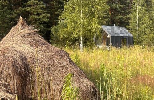 Plavniekkalns House | Dole Nature loft