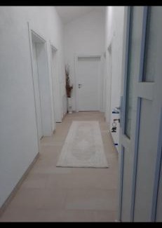 Plav Apartment | Dolina Mira-Plav