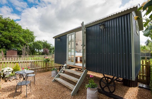 New Forest District Bed & Breakfast | Dolly at Lowlands