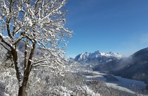 Pieve di Cadore Apartment | Dolomiti