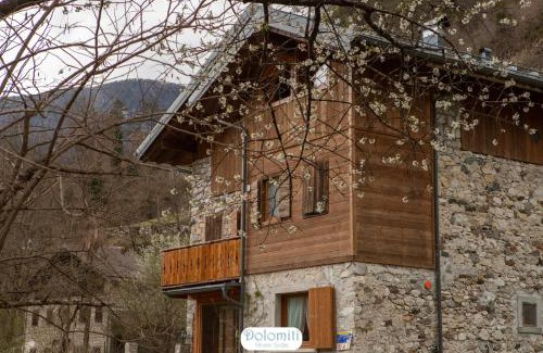 Perarolo di Cadore House | Dolomiti RiverSide