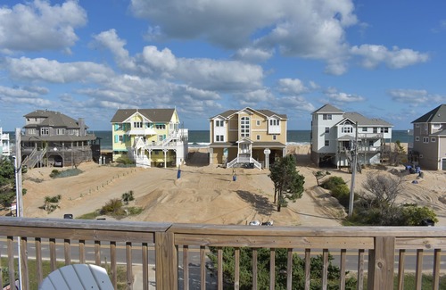 Avon House | Dolphin Delight