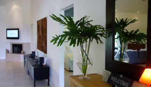 Boca Raton House | Dolphin Retreat - East Boca Raton