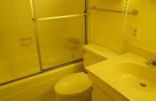 Northeast Virginia Beach Condo | Dolphin Run Condo, 2 Bedroom 2 bath, Oceanfront, Dolphin Watch from balcony