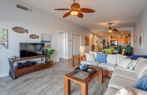 Clearwater Beach Apartment | Dolphin Views Harborview Grande 505