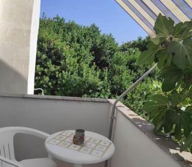 Paralia Agias Fotinis Apartment | Dolphins