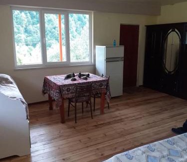 Aghavnadzor House | Dom otdixa lesnoy
