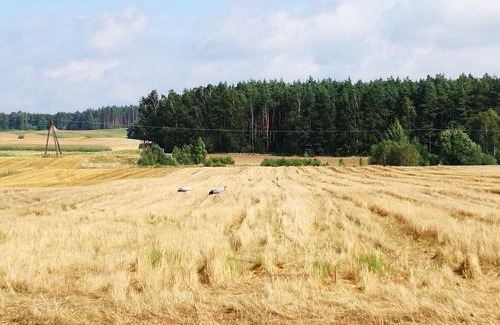 gmina Karsin House | Dom wakacyjny Poniatówka