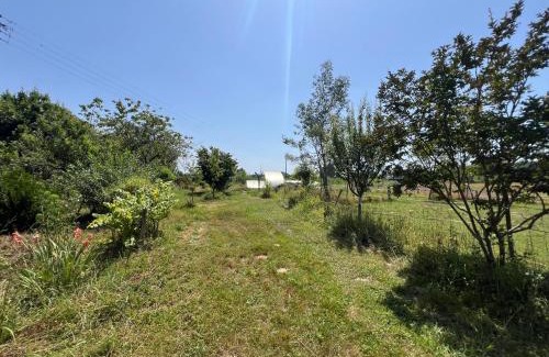 La Celle-sous-Gouzon House | Domaine de camentroun